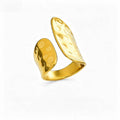 Cliff Ring