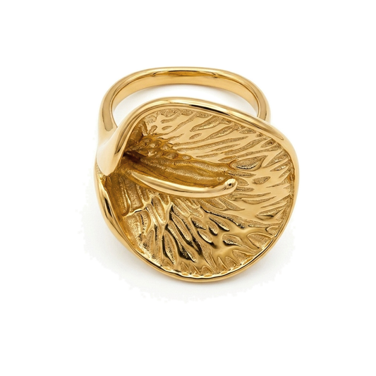 Contour Ring on white background
